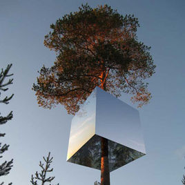 Tree Hotel