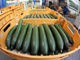 Овощи снимают с продажи Овощи снимают с продажи