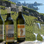 Террасовые виноградники Лаво на берегу Женевского озера являются частью Всемирного наследия ЮНЕСКО