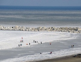 Черное море замерзло Черное море замерзло