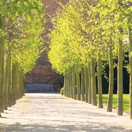 Coughton Court, Warwickshire