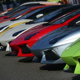    Lamborghini  