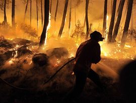 Португалию охватили пожары Португалию охватили пожары
