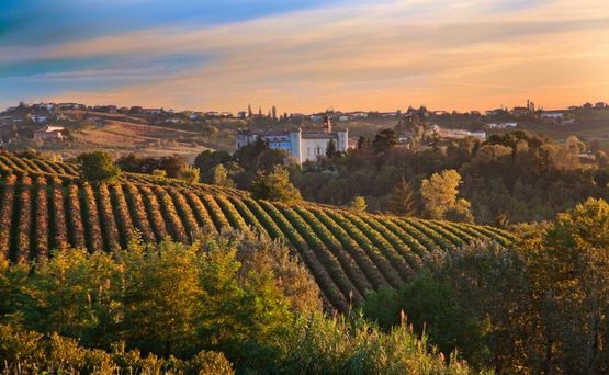 Пьемонт: сезон трюфелей и вина
