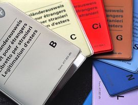 Как получить ВНЖ в Швейцарии Как получить ВНЖ в Швейцарии
