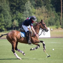            British Polo Day