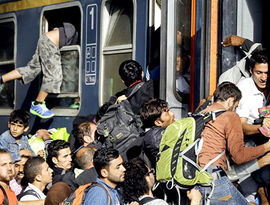 Австрия отправит беженцев домой