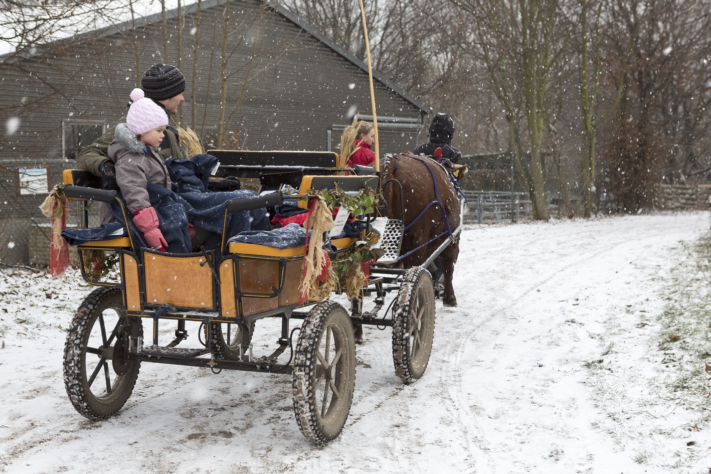 Поместье Далем © visitBerlin, Photo: Wolfgang Scholvien