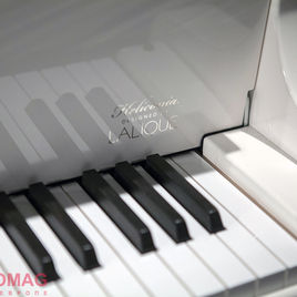 Начиная с 1853 года, пианино Steinway & Sons является эталоном бескомпромиссного качества звука, мастерства и дизайна. Компания владеет заводами в Гамбурге (Германия) и в Нью-Йорке.