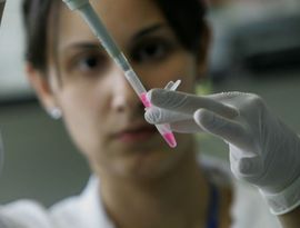 Лондон разрешил «исправлять» гены Лондон разрешил «исправлять» гены