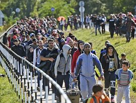 Швеции не оставит беженцев у себя
