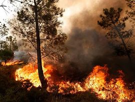Португалия горит, но у огня уже нет шансов