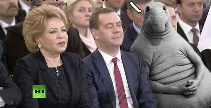 Ждун слушает президента