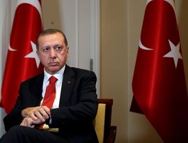 Эрдогана окружили «нацисты»
