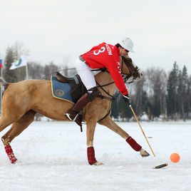Polo Club de Veytay был представлен сильным составом: возглавлял команду Президент Федерации конного поло Швейцарии Мартин Люгинбюль.