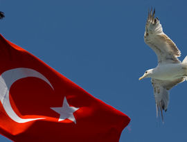 Чартеры в Турцию вновь отменят 