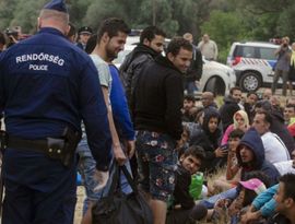 За помощь мигрантам начнут сажать